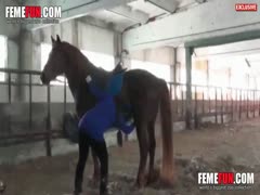 A joyful woman blows their new horse in front of her husband to appease him after having stolen private zoo sex.
